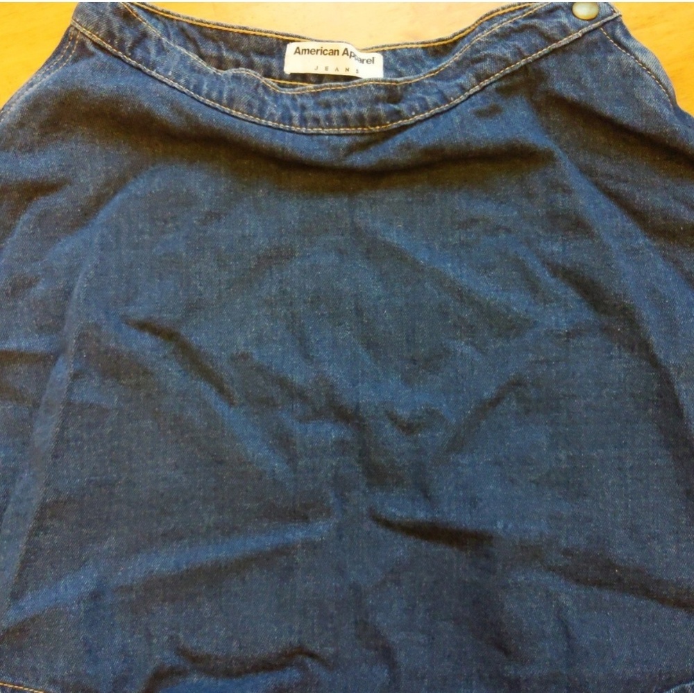 American Apparel circle skirt